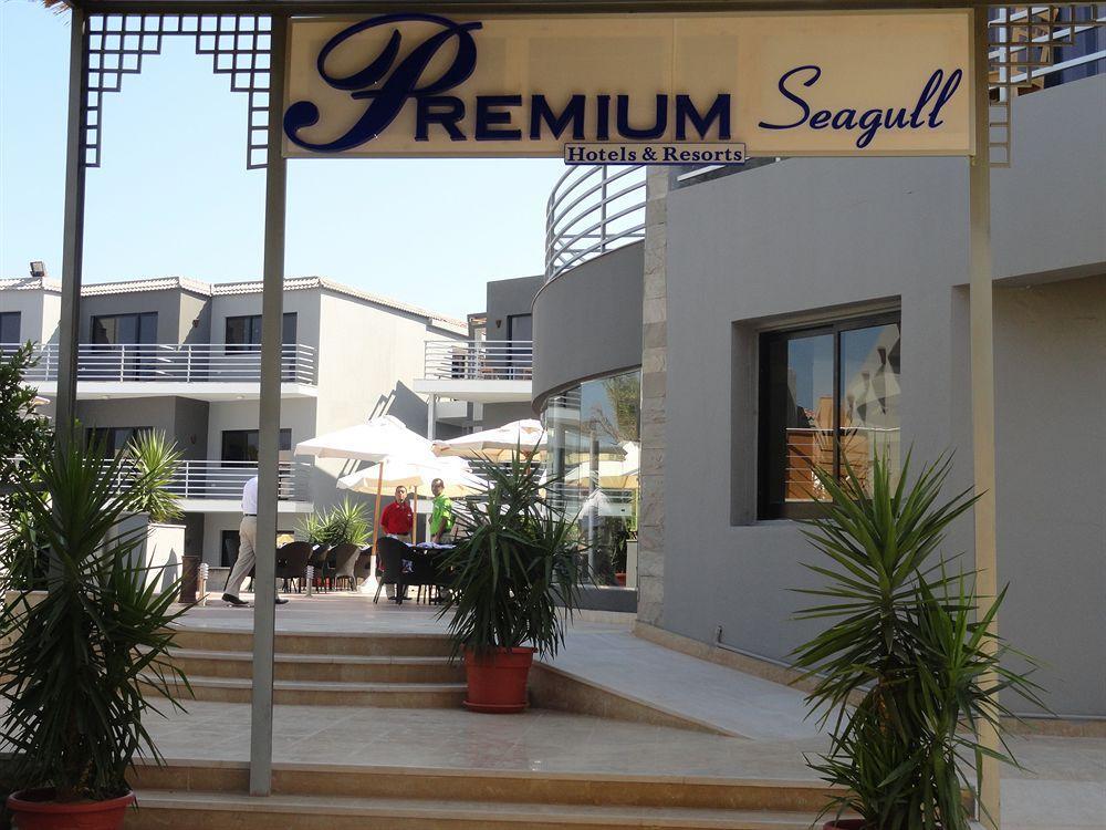 Premium Seagull Beach Resort 洪加達 外观 照片